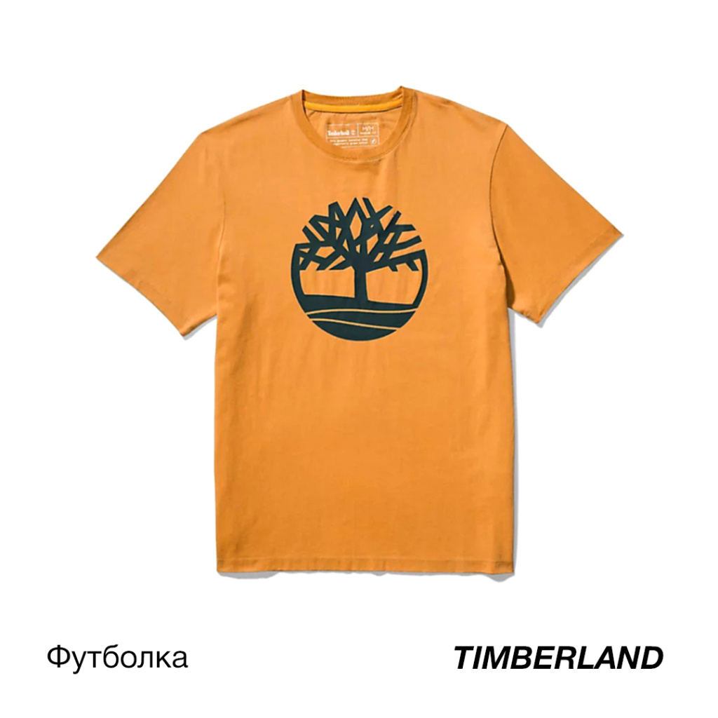 -Timberland.jpg