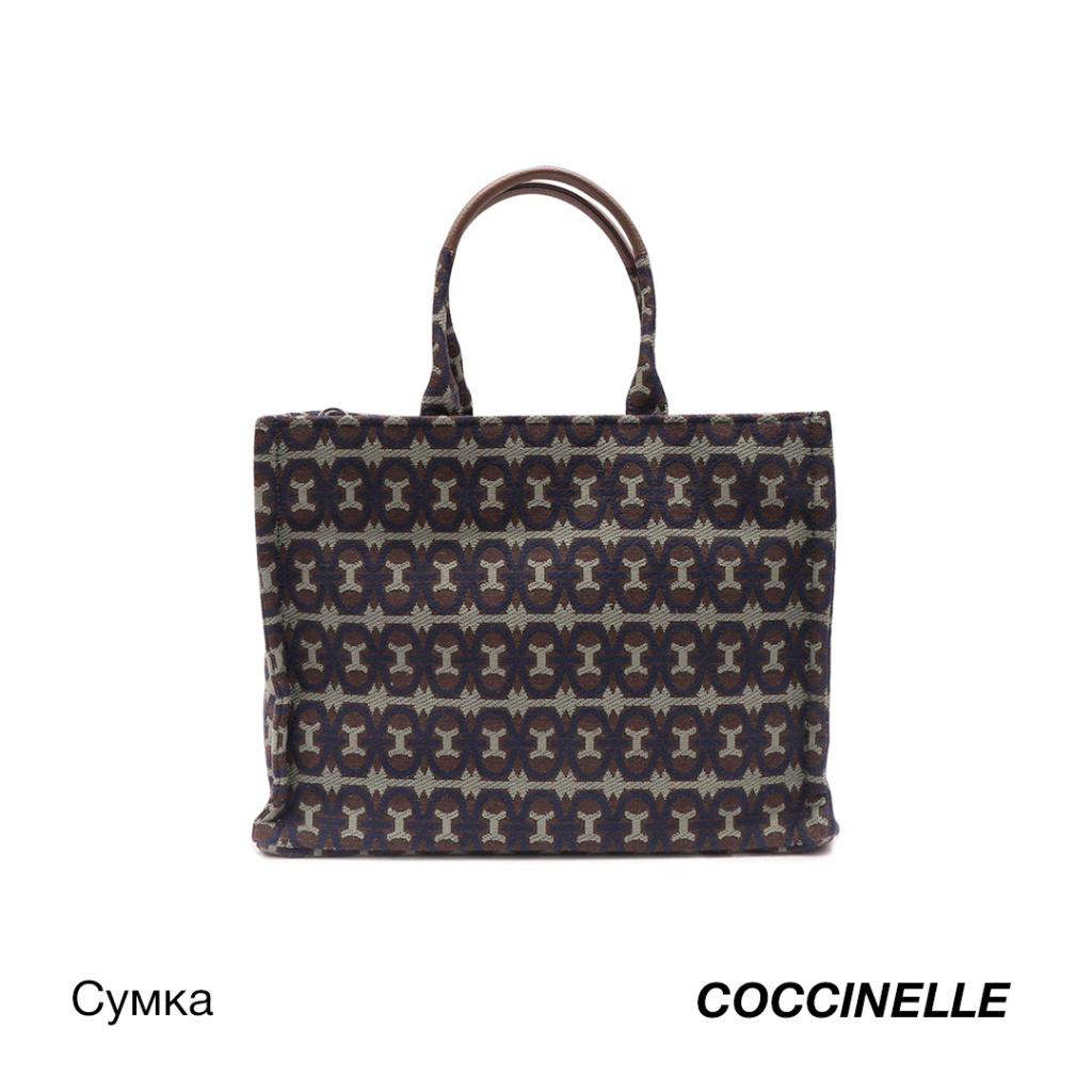-Coccinelle.jpg