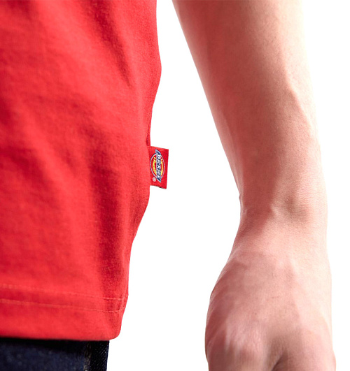 Dickies Dickies  
