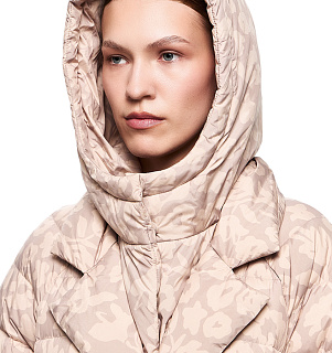 DREAMS by Alena Akhmadullina