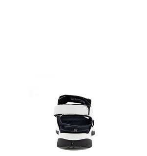 ECCO
