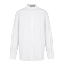 DREAMS by Alena Akhmadullina