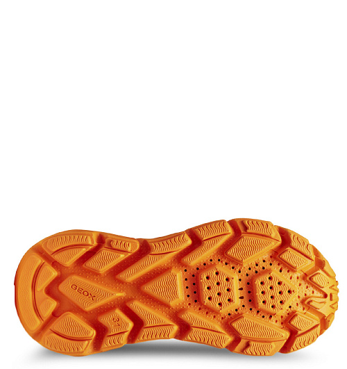 GEOX