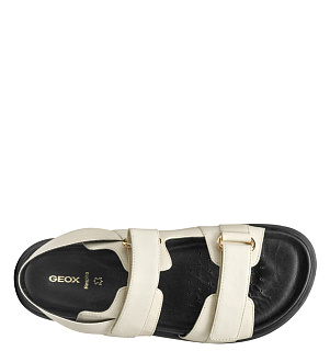 GEOX