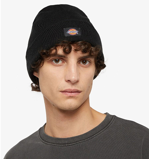 Dickies Dickies  