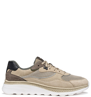 GEOX