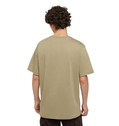Dickies Dickies  