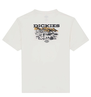 Dickies