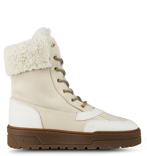 Pollini Pollini  