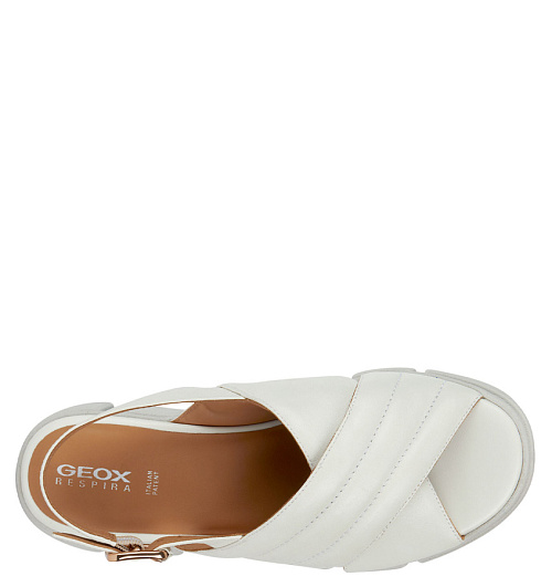GEOX Geox  
