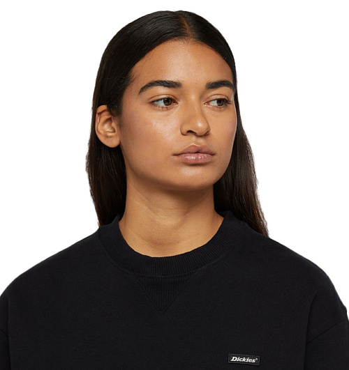 Dickies Dickies  
