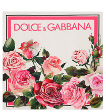 DOLCE&GABBANA