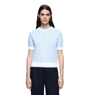 DREAMS by Alena Akhmadullina