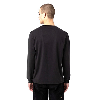 Dickies