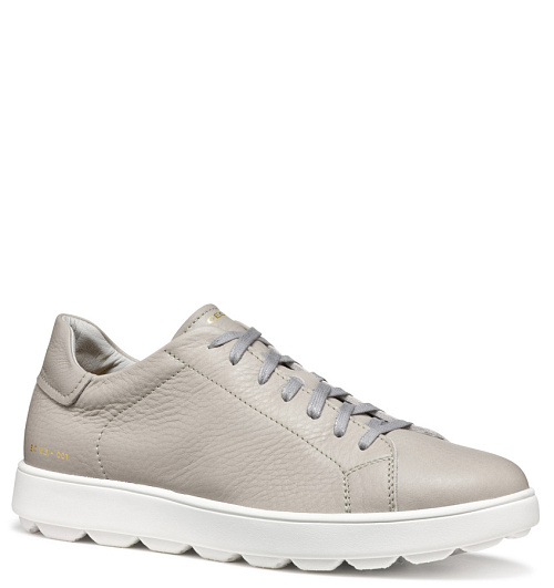 GEOX Geox  