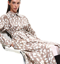 DREAMS by Alena Akhmadullina