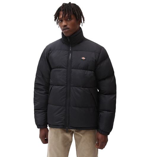 Dickies Dickies  