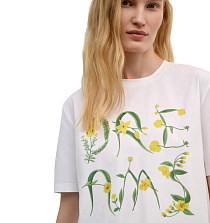 DREAMS by Alena Akhmadullina DREAMS by Alena Akhmadullina