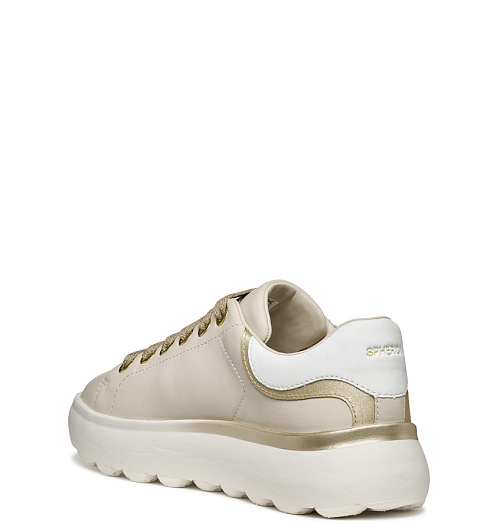 GEOX Geox  