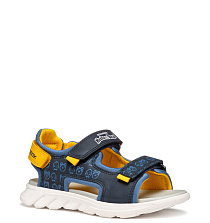 GEOX