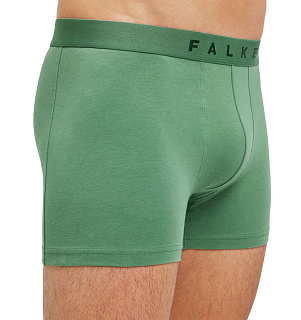 Falke