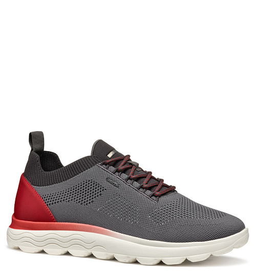GEOX Geox  