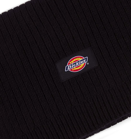 Dickies Dickies  