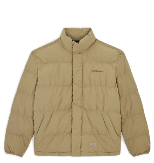 Dickies Dickies  