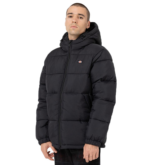 Dickies Dickies  