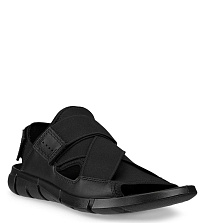 ECCO