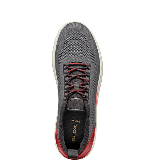 GEOX Geox  