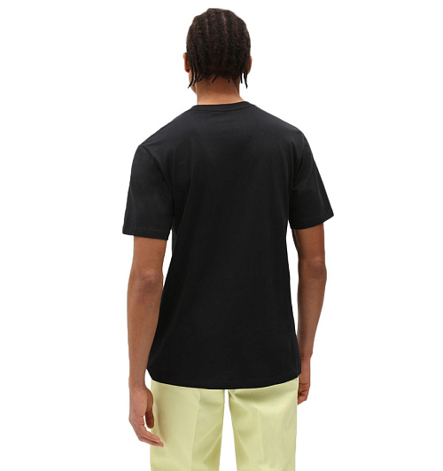 Dickies Dickies  