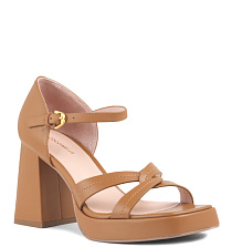 Coccinelle Coccinelle